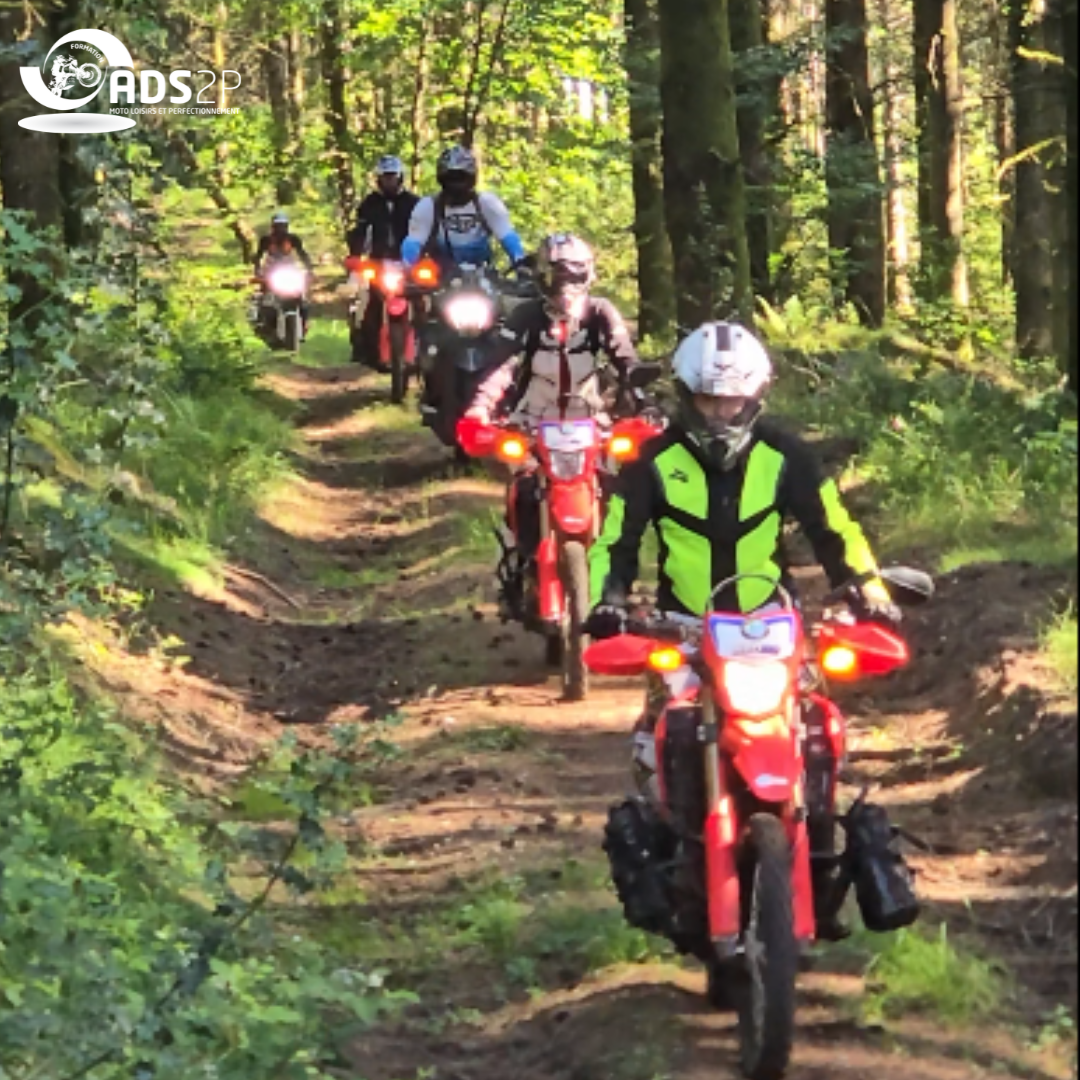 Les Tréfles Corréziens 4.png